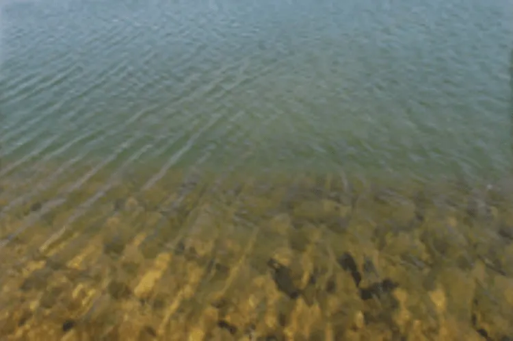 clean water with rocks under