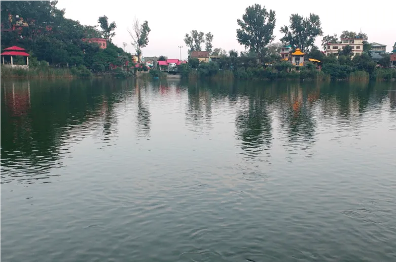 Lake with trees around