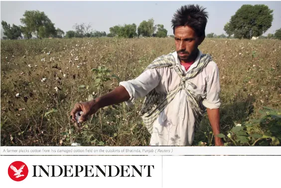 Independent news headline with person in field farming