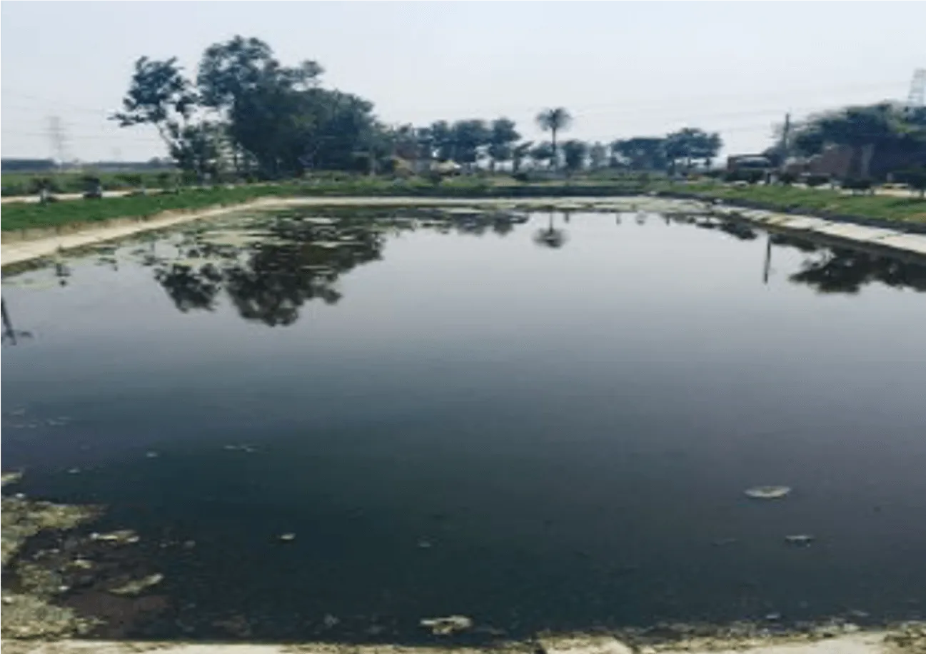Clean lake
